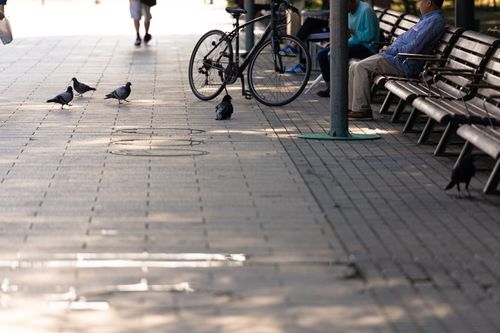 消費税の届出に関してコロナ特例があるのはご存じでしょうか